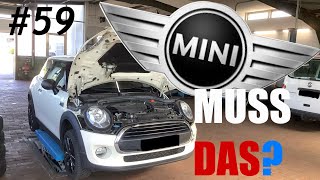 Muss das wirklich sein MINI😩👏WS59 [upl. by Munford]