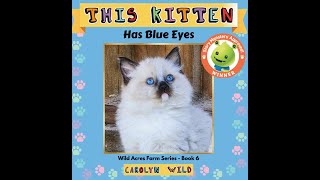 This Kitten Has Blue Eyes [upl. by Ivette]