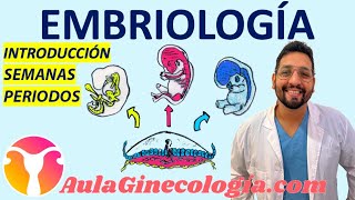 EMBRIOLOGÍA DE LA CONCEPCIÓN AL🤰🏻 NACIMIENTO🚼 Con FRANCO KELLY  Ginecología y Obstetricia [upl. by Elocan]