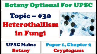 Heterothallism in Fungi Morphological amp Physiological TwoMultiple Alleles Bipolar amp Tetrapolar [upl. by Idnib]