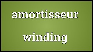 Amortisseur winding Meaning [upl. by Missie]