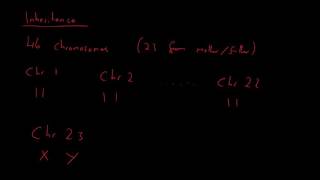 Genetics amp Inheritance  AQA Biology [upl. by Maryly]