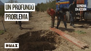 El Seprona interviene en un proyecto que no cumple las normas y supone un peligro Seprona en acción [upl. by Ticknor]