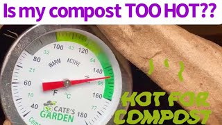 Is my compost TOO HOT [upl. by Yema545]