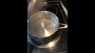 PADERNO Stainless Steel Sauce Pan reviewed by Diana [upl. by Pritchard]