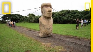 Scientists Make Easter Island Statue Walk  National Geographic [upl. by Nivrek577]