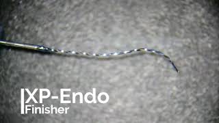 XPEndo Shaper e XPEndo Finisher removendo hidróxido de cálcio [upl. by Otilopih]