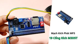 Mạch Kích Phát MP3 19 Cổng Kích M3D5T  Điện tử DAT [upl. by Randy]