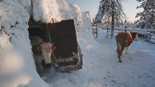 Yakutia Maldzhagar ENG SUB [upl. by Gitel]