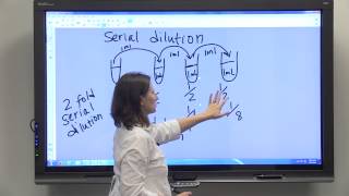 Dilution Series amp Serial Dilution [upl. by Ardnasirk]