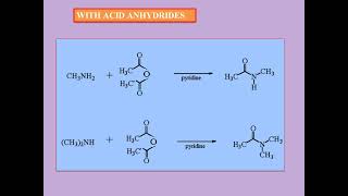 BCU NEP CHEMISTRY Amines4 Distinguishing reactions of amines Hinsberg reagent Alkylation Acylation [upl. by Atterrol]