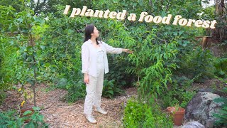 From lawn to permaculture food forest  how I transformed my backyard in 5 months [upl. by Izawa]