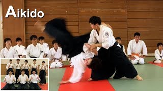 Beautiful Aikido demonstration 2019 with woman  Shirakawa Ryuji shihan [upl. by Benia]