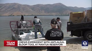 After algal blooms return crews experiment with mitigation tool [upl. by Epillihp]