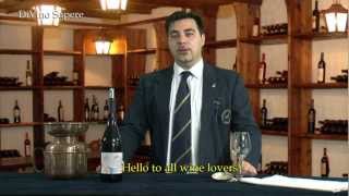 Valpolicella Classico Superiore Ripasso DOC 2009 Antolini  Videodegustazione Online wine tasting [upl. by Alfeus]