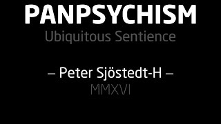 Panpsychism  Introduction SjöstedtH  slides [upl. by Oah651]