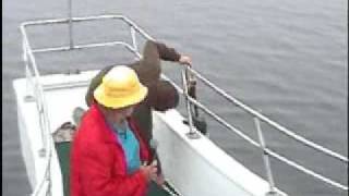 Capn Fishs Lobster Trap Hauling boothbay harbor maine [upl. by Wendin]