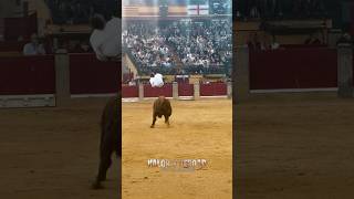 Rondada perfecta de Diego Almarza en Zaragoza shorts [upl. by Ynaittirb]