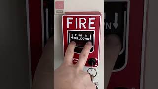 Pulling Fire Alarms shorts intrusivethoughts firealarm [upl. by Kirch779]