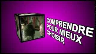 SIEP  DVD Lalternance  Clip vidéo [upl. by Adnole775]