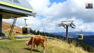 BelchenSeilbahn  Cableway Aitern Schwarzwald  Black Forest Germany 14 08 2018 [upl. by Ihab]