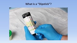 Interpretation of the Urinalysis Part 2  The Dipstick [upl. by Hserus]