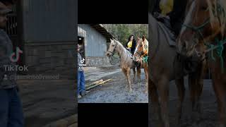 Sugarland Riding Stables Tennessee Smokey Mountains [upl. by Ryon]