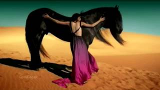 Gipsy Kings  Viento Del Arena  HD video [upl. by Faucher]