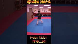 Kata Tutorial Heian Nidan karate karatekata heiannidan [upl. by Hui293]