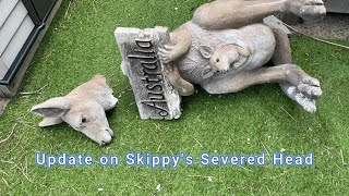 Update on Skippys severed Head [upl. by Aneeras]