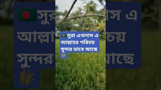 সুরা এখলাস এ আল্লাহ পরিচয় সুন্দর ভাবে আছে views reels religion waz nature viralvideo [upl. by Alekal171]