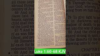 Luke 16068 KJV [upl. by Ynnot]