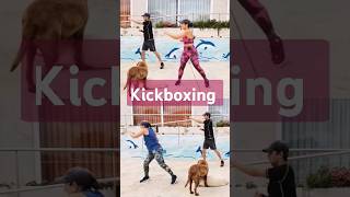 Cardio Kickboxing 160 bpm [upl. by Annayk]