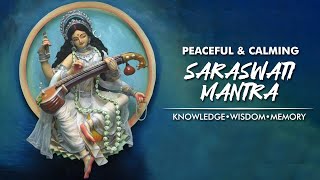 Maa Saraswati Mantra For Knowledge Wisdom amp Memory  या कुन्देन्दुतुषारहारधवला [upl. by Nivloc]