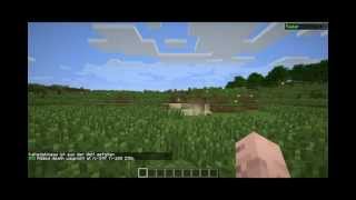 Minecraft Koordinaten lesen [upl. by Damek]