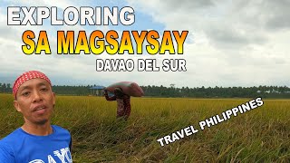 EXPLORING MAGSAYSAY DAVAO DEL SUR  DAVAO DEL SUR  DAYO pH [upl. by Enihpad]