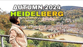 AUTUMN SEASON IN HEIDELBERG 2024 HIKING TO THE PHILOSOPHERS WAY  GERMANY 🇩🇪 [upl. by Pearlstein]