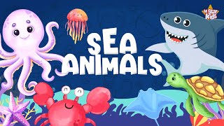 Learn Ocean Animal Names  Sea Animal Videos  Learning ABC  beStar Kids [upl. by Renard]