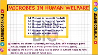 Microbes in human welfare Class 12th NCERT cbse notes [upl. by Atinid]