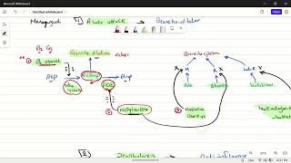 Bronchial asthma pharmacology 1 [upl. by Noside]