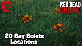 Bay Bolete Locations RDR2 Online  Red Dead Online Bay Bolete Location Guide [upl. by Anerrol701]