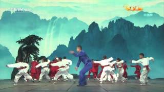 Wushu Performance  Chinese New Year 2013  2013年春晚《中国武术》 [upl. by Gun794]