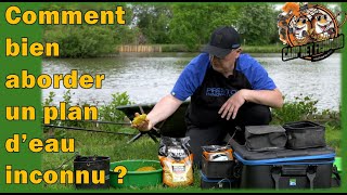 🎥🎞Comment bien aborder un plan d’eau inconnu   choix du poste  type d’amorçage  🤟💪 [upl. by Noived101]