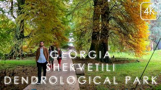 Shekvetili Dendrological Park 4K Georgia walking tour [upl. by Nicolais486]