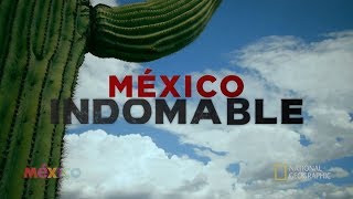 México Indomable Episodio 2 [upl. by Ymmac]