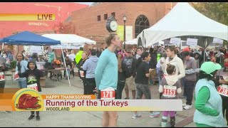 Running of the Turkeys [upl. by Kathlin44]