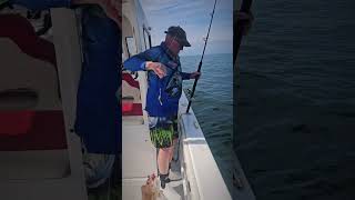 Fun day out in Struisbaai with King Ryan fishing deepseafishing [upl. by Longo]