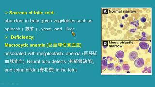 生化線上課程Vitamins and Coenzymes維生素與輔酶Part3 [upl. by Stephani]