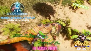 Ark Survival Ascended EP 36 The Murder Turkey [upl. by Eirotal]