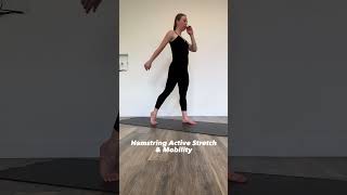 Hamstring Active Stretch amp Mobility [upl. by Anitsugua]